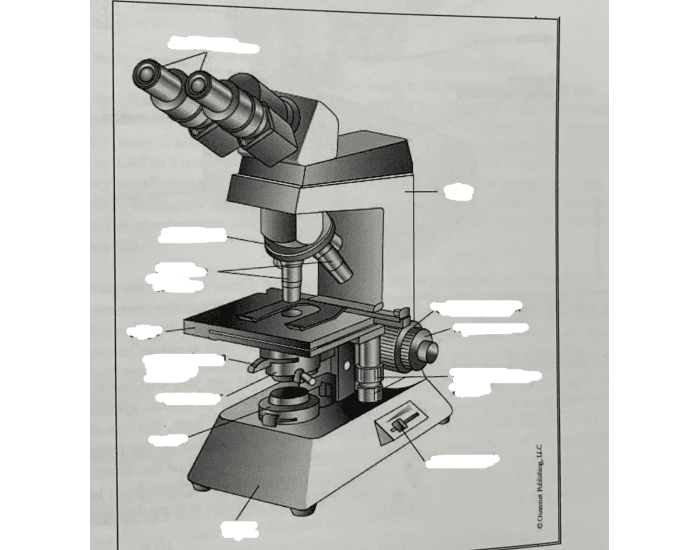 Identify The Parts Of Compound Light Microscope Quizlet | Shelly Lighting