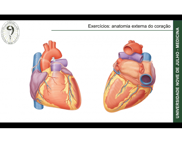 ANATOMIA DO CORAÇÃO Quiz