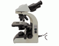 Compound Light Microscope- PARTS BASICS