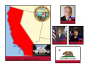California Politics (2010)