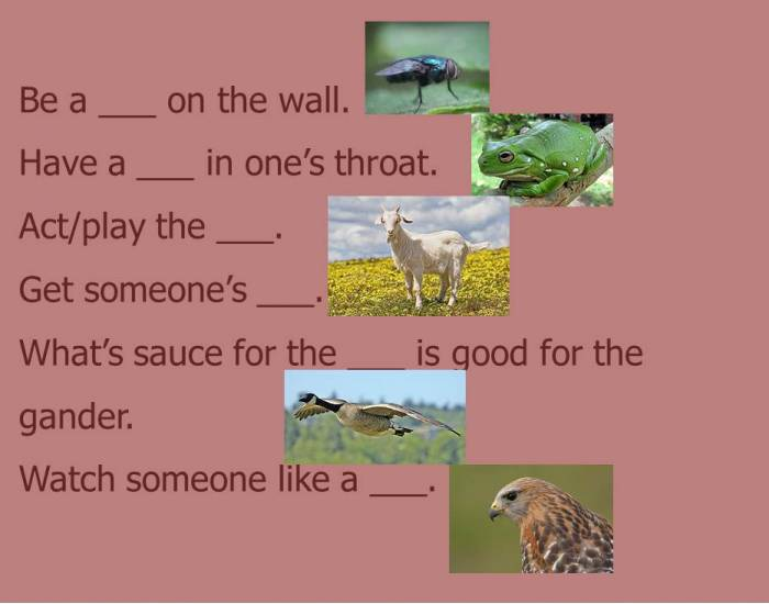 Idioms 6 (Animals Fly - Hawk) Quiz