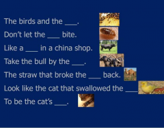 Animal Idioms 3 (Bees - Cats)