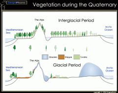 Vegetation during the Quaternary Period in Europe