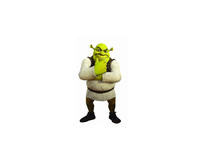 Shrek Quiz Anatomy