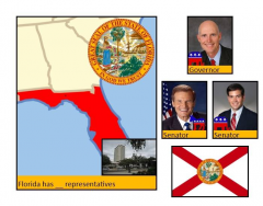 Florida Politics (2010)