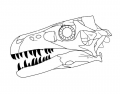 Theropod Skull Bones (B&W)