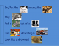 Idioms 11 (Animals Pigeons-Rats)