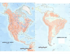 Quiz geografia online exercise for