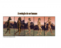 A evolucao do ser humano - the evolution of humans