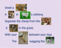 Idioms 12 (Animals Rats-Tails)