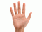 5 Finger Quiz