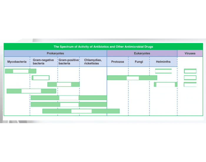 Spectrum Of Antibiotics Printable Worksheet spectrum-of-antibiotics-printable-worksheet
