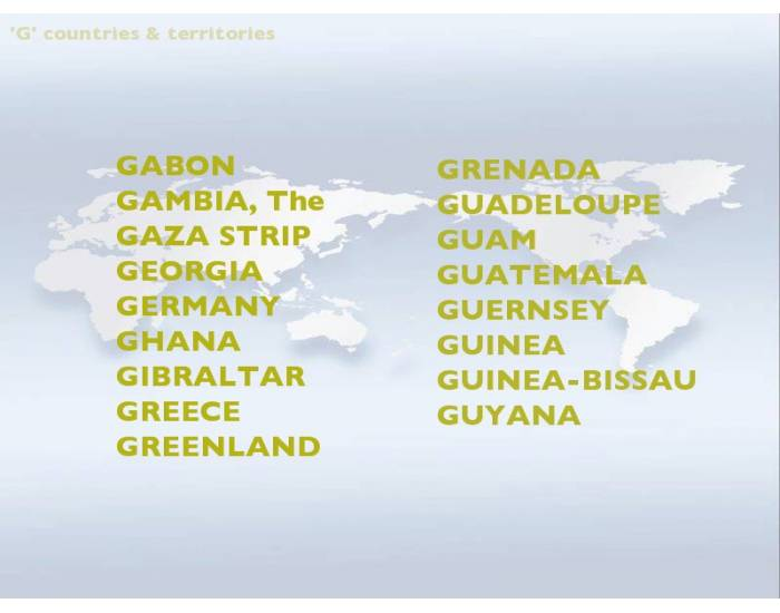 Internet Country Code 'G' Quiz