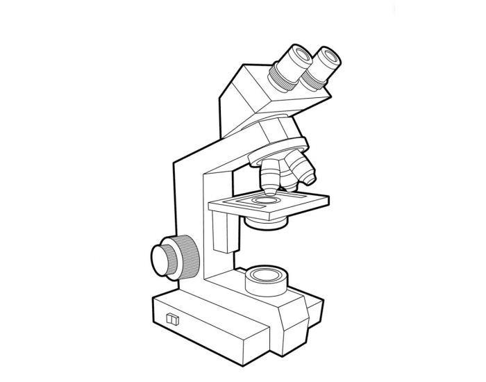 Parts Of A Compound Microscope Quiz at Lula Hurst blog