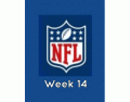 NFL Football Week 14