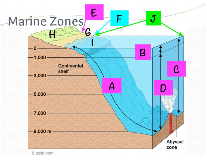 Maria Zones Marine Zones Quiz