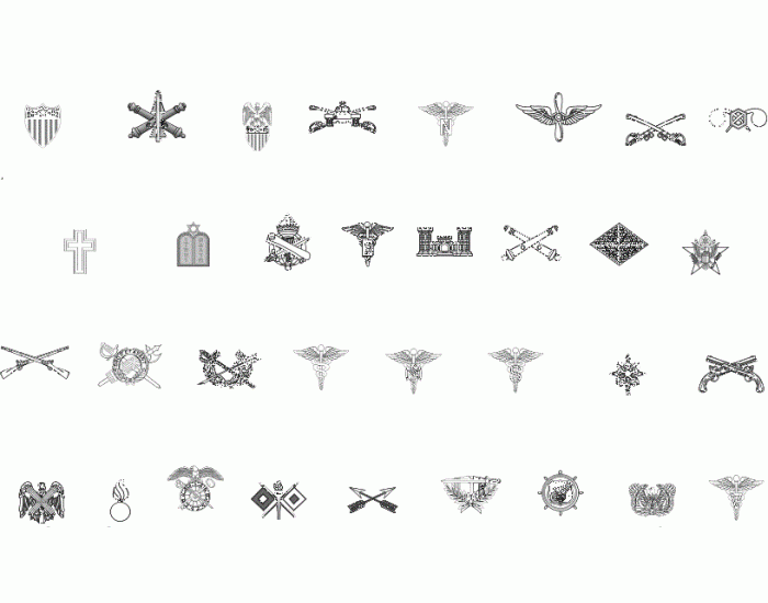 U.S. Army Branch Insignia Quiz