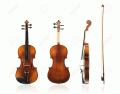 Parts of the Violin (Detailed)