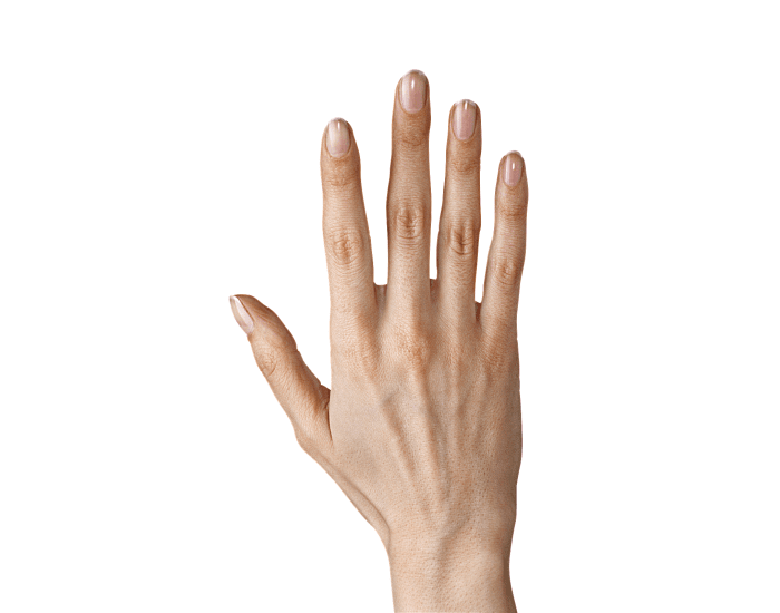 Parts of the hand P.1 Quiz