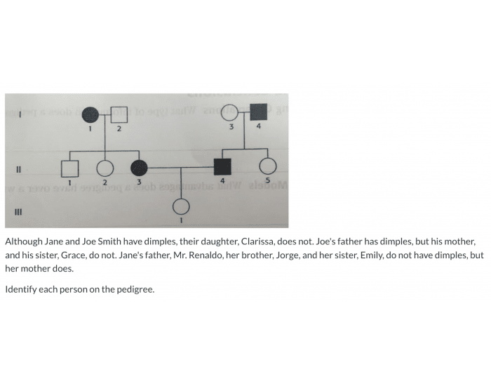 Pedigree Practice Quiz