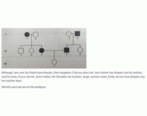 Pedigree Practice Quiz