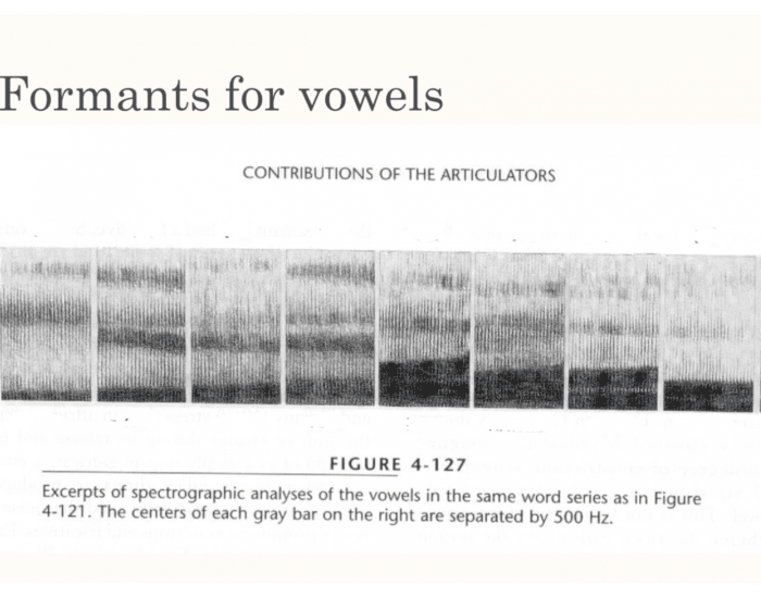 Formants for vowels Quiz