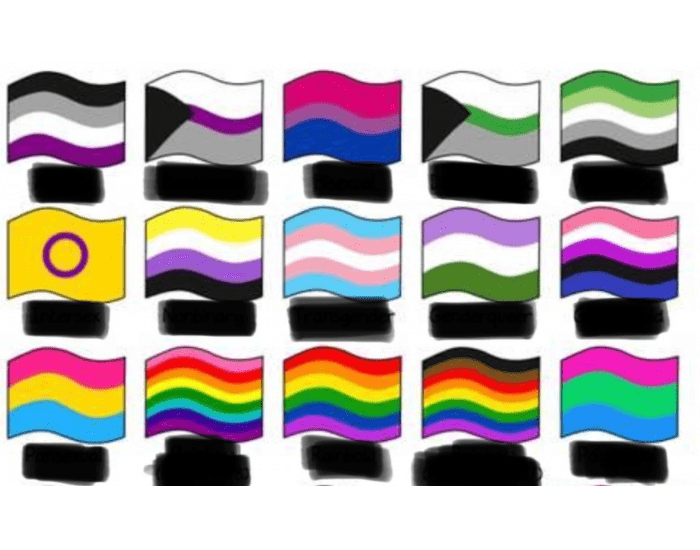 Guess the pride flag π³οΈβπ Quiz