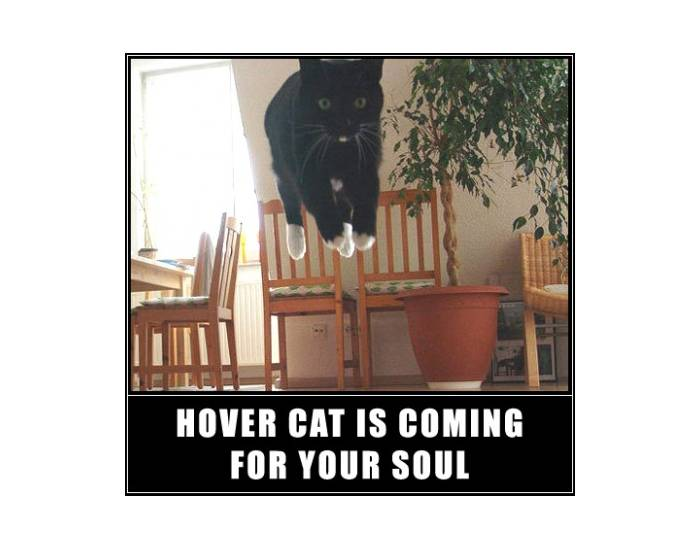 hovercat is coming for your soul