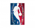 NBA Teams Logos
