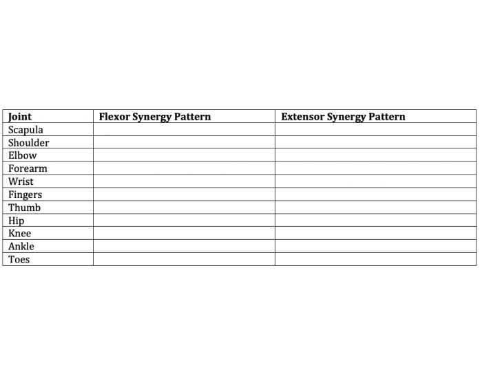 Synergy Patterna Ch. 21: Synergy Patterns of UE & LE Quiz