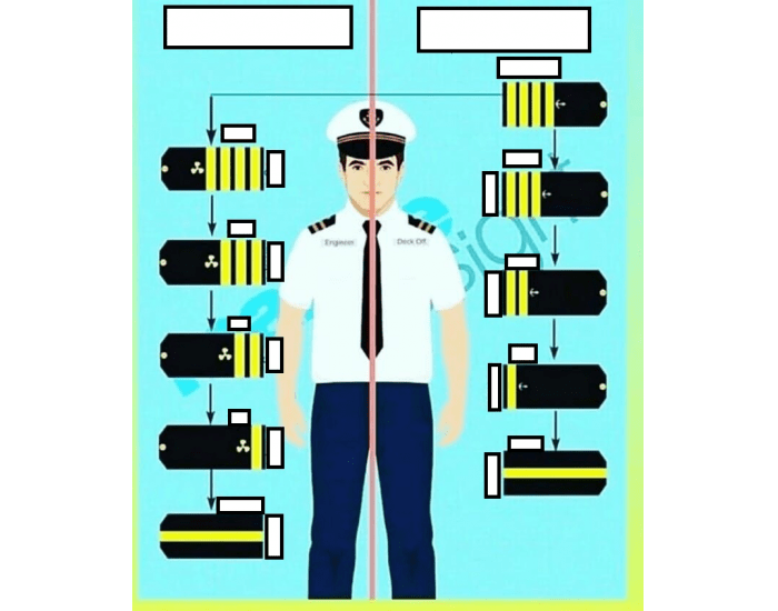 MERCHANT SHIP CREW RANKS Quiz