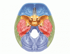 Ossos do crânio - Plano Superior/corte transversal