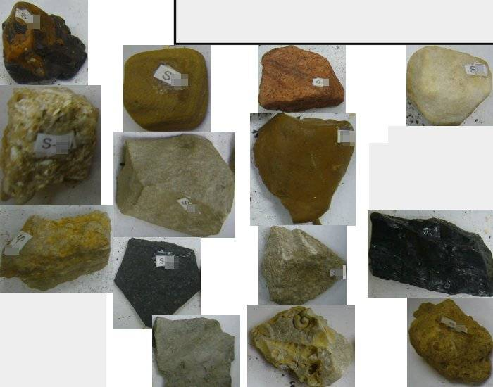 Sedimentary Rocks Printable Worksheet