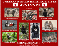 UNESCO World Heritage Sites JAPAN 28/50