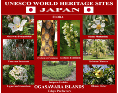 UNESCO World Heritage Sites JAPAN 26/50
