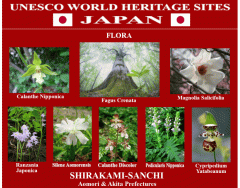 UNESCO World Heritage Sites JAPAN 29/50
