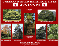 UNESCO World Heritage Sites JAPAN 33/50
