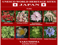 UNESCO World Heritage Sites JAPAN 32/50