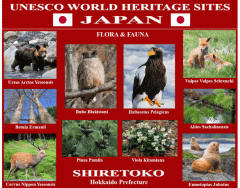 UNESCO World Heritage Sites JAPAN 17/50