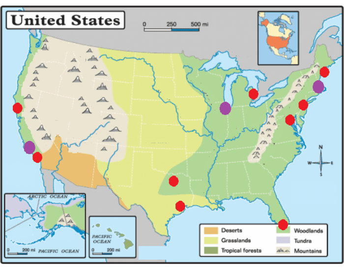Statele Unite ale Americii (harta simpla) Quiz