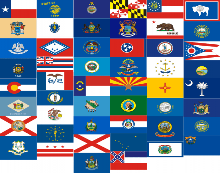 State Flags Quiz (No State Names On Flags!)