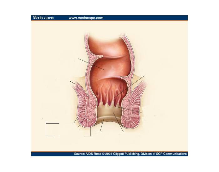Qisqa trans porno video Uxlayotgan qizlarni yechinayotgan video