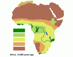 African vegetation 14,000 years ago