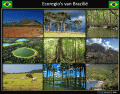 Ecoregio's van Brazilië