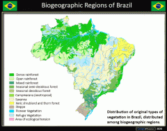 Biogeographic Regions of Brazil