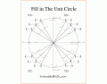 Fill in the Unit Circle
