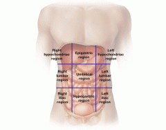 Abdominopelvic Regions & Their Major Organs
