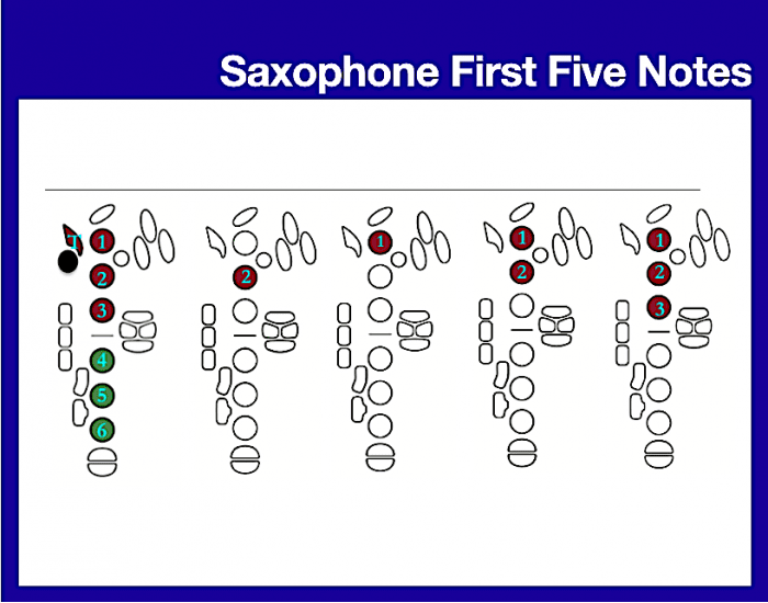 First Five Notes Saxophone Saxophone First 5 Notes Quiz