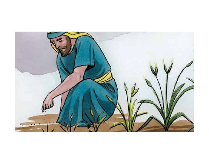 the parable of the sower clipart