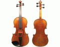 Parts of the Violin/Viola